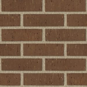500 C Brown
