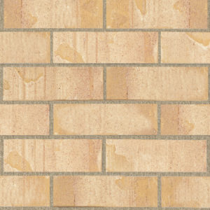 Coral Sand
